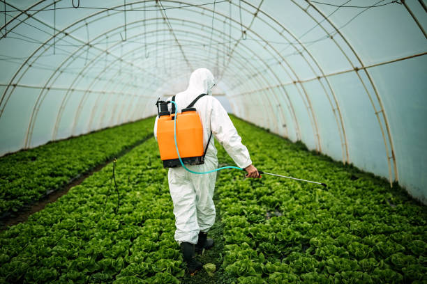 Best Mosquito Control Services  in Arthurtown, SC