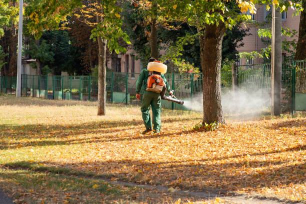 Best Wasp Removal Services  in Arthurtown, SC