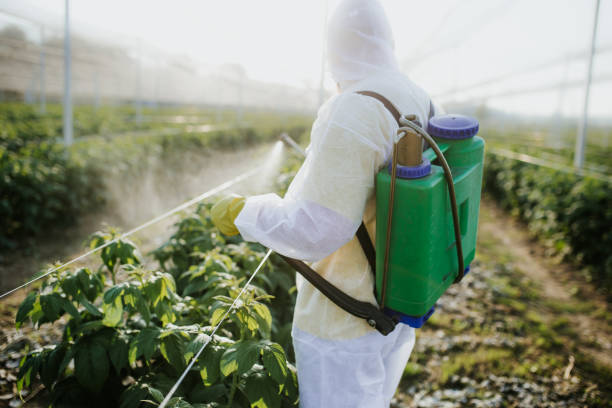 Best Pest Control Near Me  in Arthurtown, SC